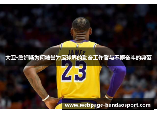 大卫·詹姆斯为何被誉为足球界的勤奋工作者与不懈奋斗的典范