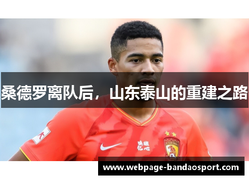桑德罗离队后，山东泰山的重建之路