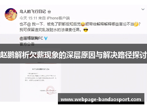赵鹏解析欠薪现象的深层原因与解决路径探讨