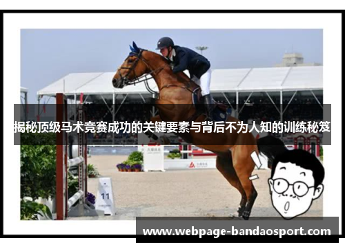 揭秘顶级马术竞赛成功的关键要素与背后不为人知的训练秘笈