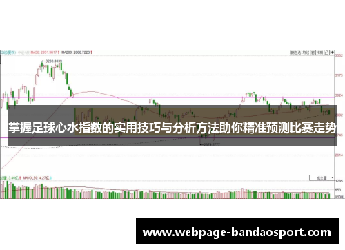 掌握足球心水指数的实用技巧与分析方法助你精准预测比赛走势