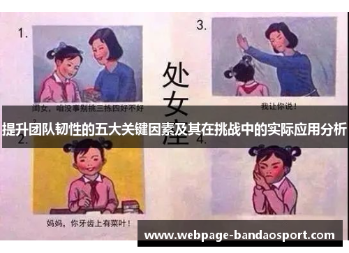 提升团队韧性的五大关键因素及其在挑战中的实际应用分析