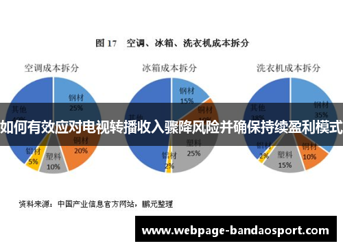 如何有效应对电视转播收入骤降风险并确保持续盈利模式